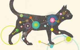 Check spelling or type a new query. The Inner Life Of Cats Scientific American
