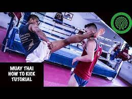 best muay thai training videos