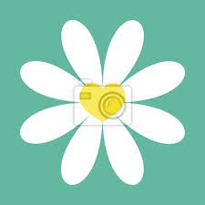 White Daisy Chamomile Icon Cute Flower