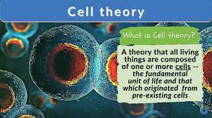 cell theory definition and exles