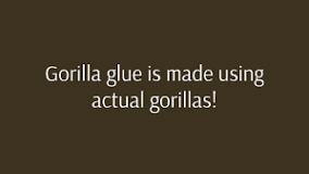 is-gorilla-glue-made-from-gorillas