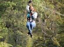 Top places for zip lining in Kenya and their charges - Tuko.co.ke