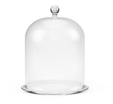 Glass Bell Jar Images Browse 3 549