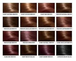 Human Hair Color Ring Chart For Black Women High Temperature