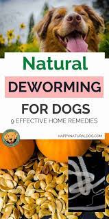natural dewormers for dogs