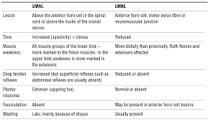 upper motor neuron lesions umnl