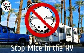tips to keep pesky mice out of your rv