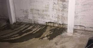 Basement Problems All Homeowners Should