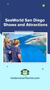 best seaworld san go shows and