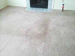 professional carpet cleaners in fishers