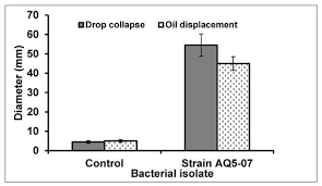 Biosurfactant Ion