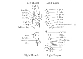 File Standard Bassoon Fingering Keys Diagram Png Wikimedia