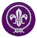 Image result for cub scout world crest