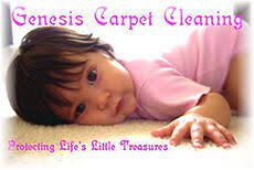 genesis carpet cleaning nextdoor