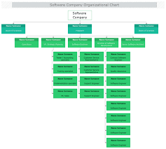 Software Company Organizational Chart Organizational Chart