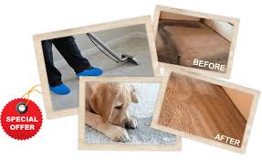 carpet cleaning montgomery tx the best