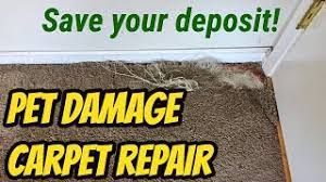 pet damage carpet repair you