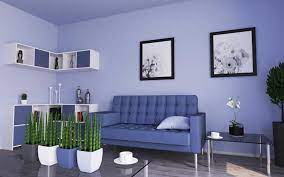 two colour combination for living room