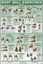 Abiding Gym Steps Chart Gym Exercise Chart Pdf Bodybuilding