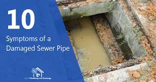 10 symptoms of a damaged sewer pipe