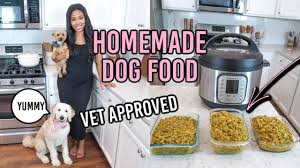 homemade healthy dog food recipe