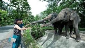 Image result for Zoo Negara Malaysia