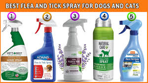 best flea and tick spray for dogs and