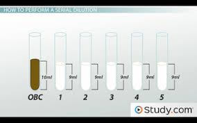 Serial Dilution In Microbiology Calculation Method