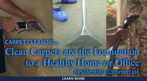 northern cky carpet cleaning