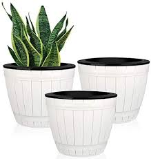 How can i make sure that i bought the. Amazon Com Vanavazon Self Watering Planter 3 Pack African Violet Pots 6 5 Plastic Flower Plant Pot With Wick Rope For House Plants Flowers Herbs Kitchen Dining