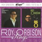 Many Moods of Roy Orbison/The Big O
