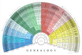 How To Create A Simple Genealogy Chart Mormon Life Hacker