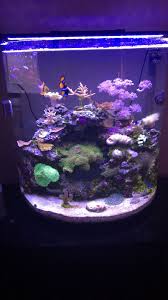 Should I Replace A Current Led With A Prime Hd Lighting Forum Nano Reef Community