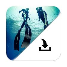 Freediving Spearfishing Wetsuits Size Chart 2019