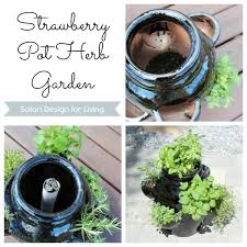 strawberry pot herb garden satori