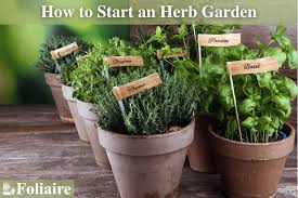 Herb Garden Foliaire Inc Boston