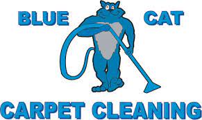 home blue cat carpet tile and grout