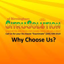 citrusolution carpet cleaning of