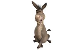 funny donkey wallpapers top free
