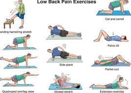 lower back pain exercise sirohi