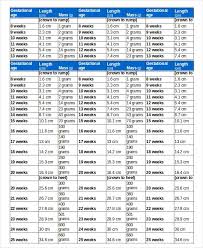 Unique Pregnancy Baby Size Guide The Bump Baby Size Chart