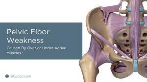 pelvic floor weakness is it caused by