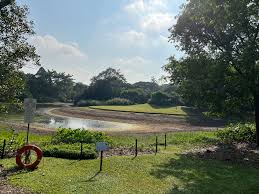 the botanic gardens lake