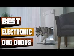 Most Amazing Electronic Dog Doors In