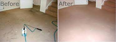 carpet cleaning clean force