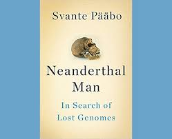 Neanderthal Man - Institute of Health and Humanities - University Of Montana