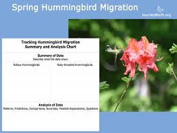 Analyzing Spring Migration Data