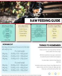 Raw Feeding Guide Hardihound