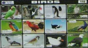 Birds Chart Printing Services In Sewri W Mumbai Shrijii