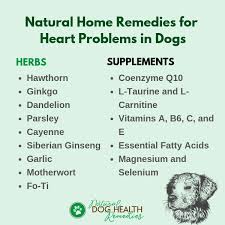 dog heart problems natural remes